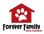Forever Logo 3